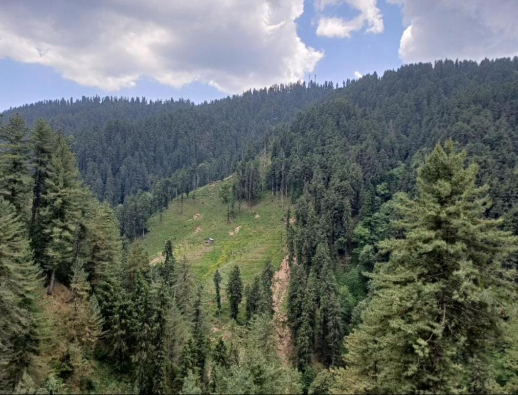 The Nature Dreams I Vacations I Conference I Mice I Family Events I Open Air Terrace I Sky Bonfire I Kufri By Exotic Stays Shimla Luaran gambar