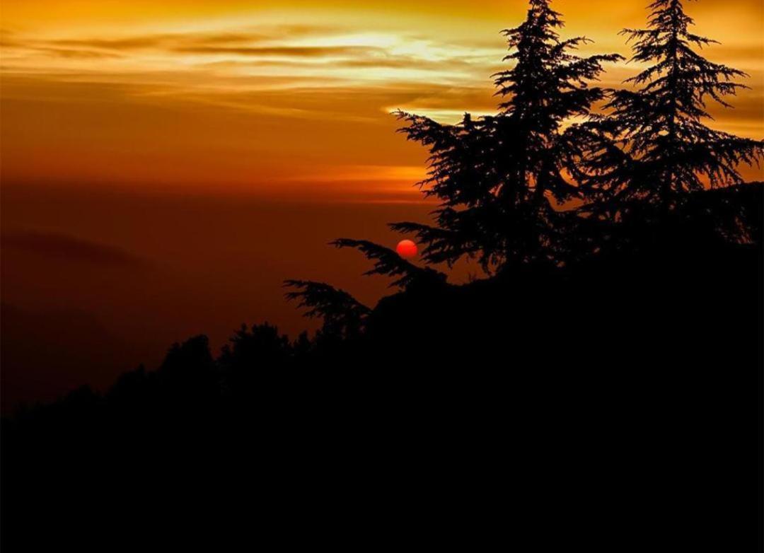 The Nature Dreams I Vacations I Conference I Mice I Family Events I Open Air Terrace I Sky Bonfire I Kufri By Exotic Stays Shimla Luaran gambar