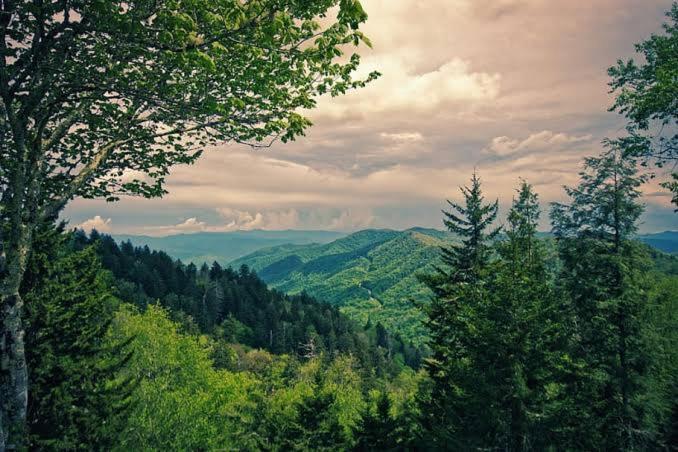 The Nature Dreams I Vacations I Conference I Mice I Family Events I Open Air Terrace I Sky Bonfire I Kufri By Exotic Stays Shimla Luaran gambar